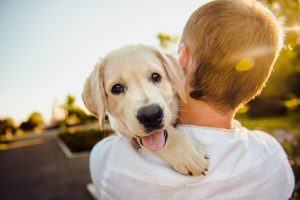 Does Having Pets Really Strengthen Your Immune System