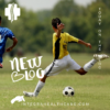 3 Ways of Avoiding & Treating Soccer Injuries with Chiropractic Care