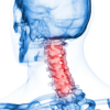 Anatomy 101 – The Cervical Spine: What Chiropractic Patients Need to Know