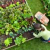 3 Tips That’ll Save Your Back While Gardening