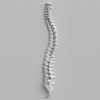 4 Reasons Why Chiropractic Is Good for Your Spine