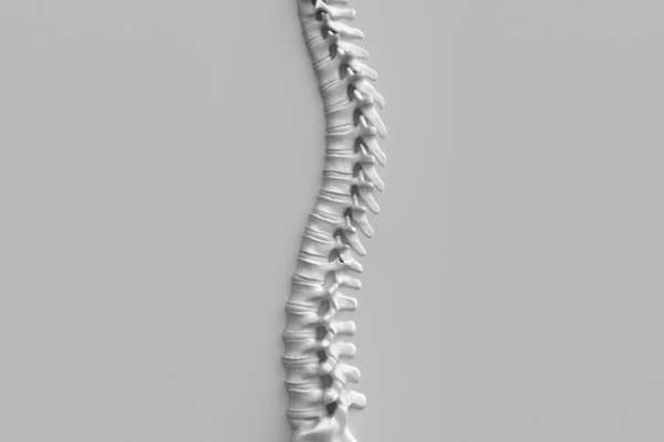4 Reasons Why Chiropractic Is Good for Your Spine